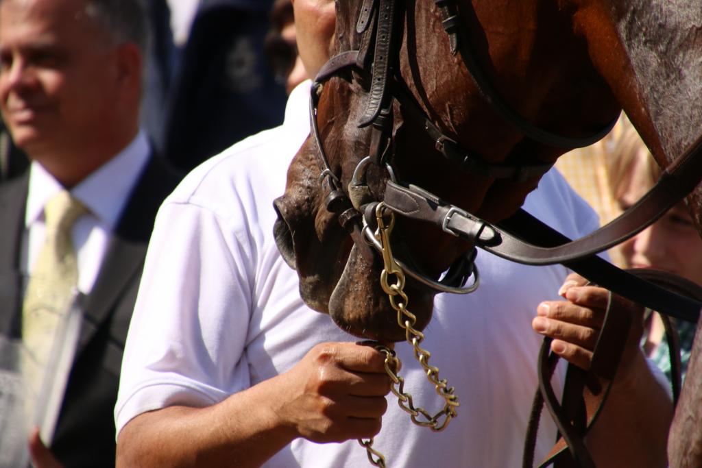 Groom with Paradise Road in the winner’s circle. (Julie June Stewart photo)